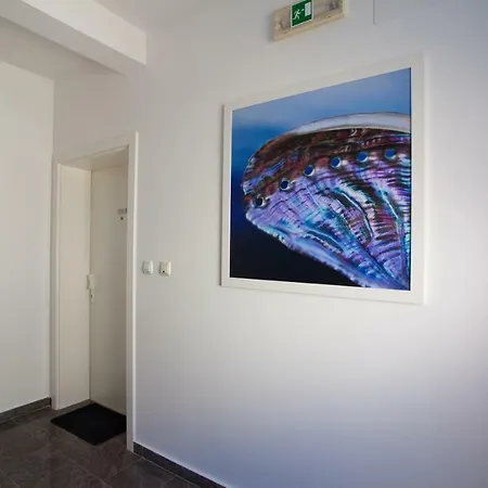 Apartment Estrela Cres